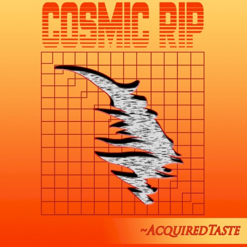 Cosmic Rip