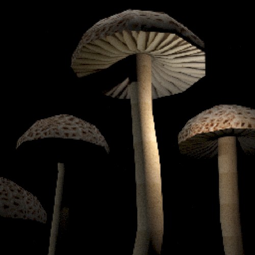 Mushroom Music, Vol. 1