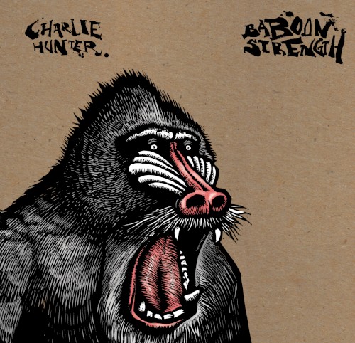 Baboon Strength
