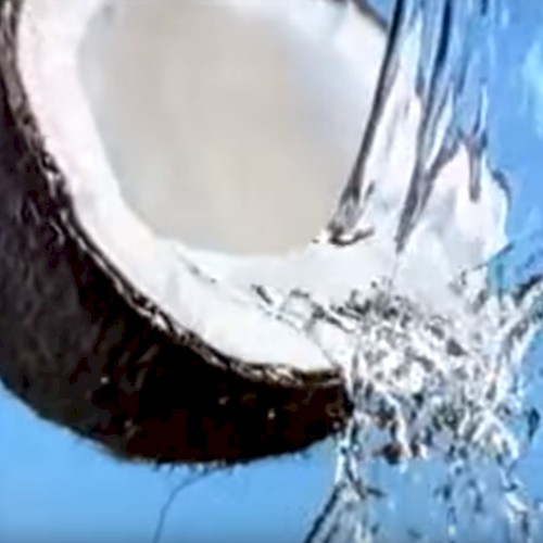 ヨ̴͓̜̹̑͂͌̀フ̵͍̦̃̈́ォ̵̜͎̒̀