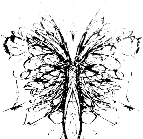 Moribund Butterfly Kinetic