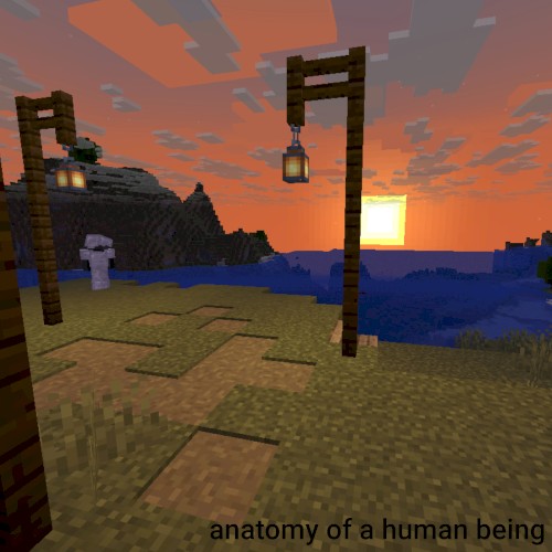 Anatomy of a Human Being