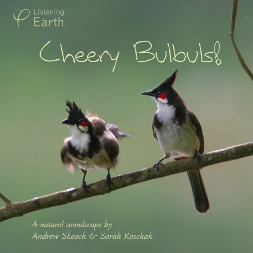 Cheery Bulbuls