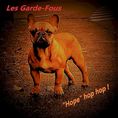 "Hope" hop hop !