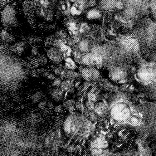 Visceral Exhaust