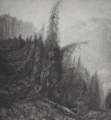 The Misty Kingdom