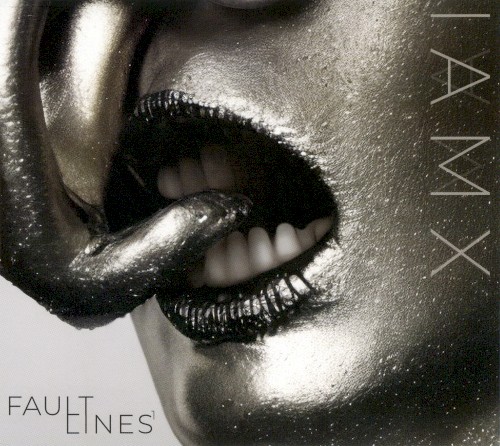 Fault Lines¹