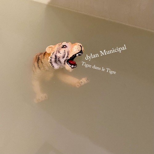 Tigre dans le Tigre