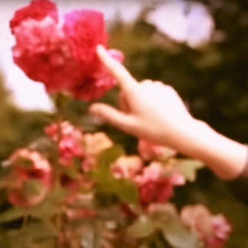 I fell asleep to the whispers of yet another person I will never know, and that made me feel closer to all of you