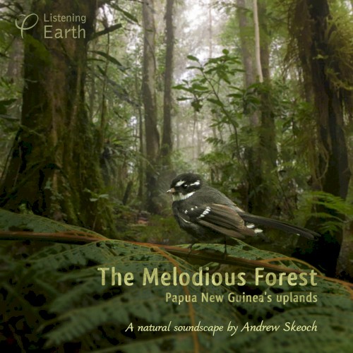 The Melodious Forest: Papua New Guinea's Uplands