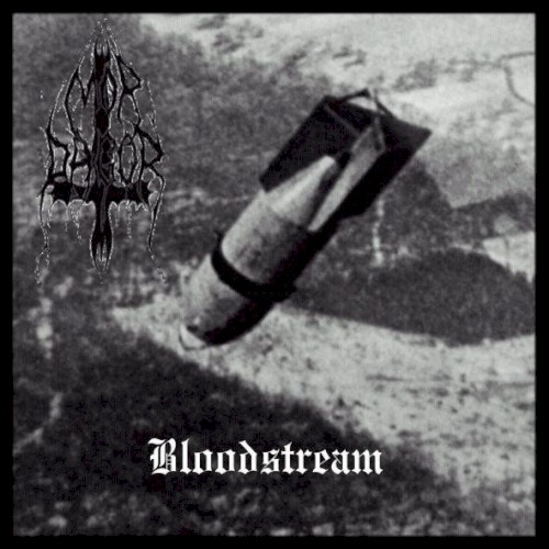 Bloodstream