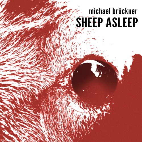 Sheep Asleep