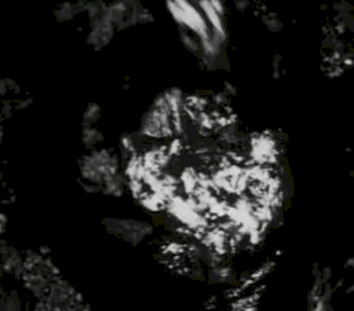 Begotten Chapter XII