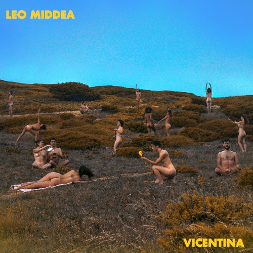 Vicentina