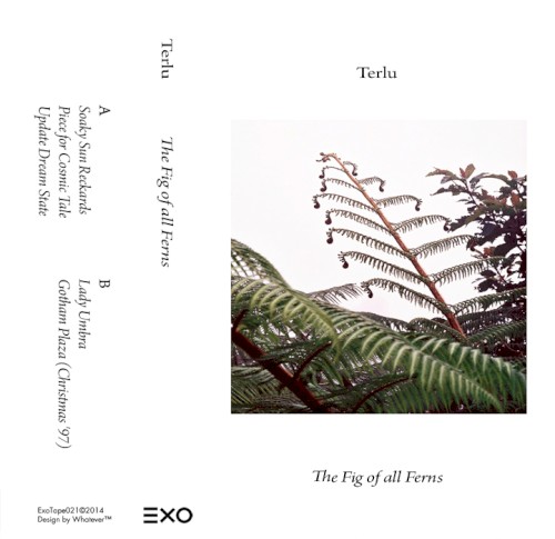 The Fig of all Ferns