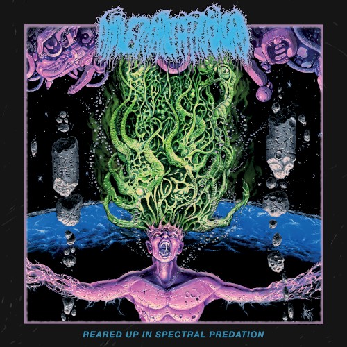 Reared Up in Spectral Predation