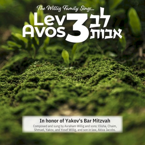 Lev Avos 3