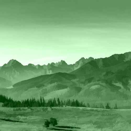 GREEN 13