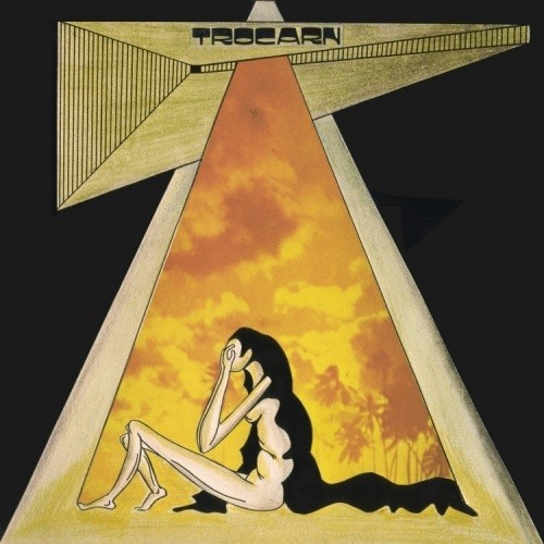 Trocarn