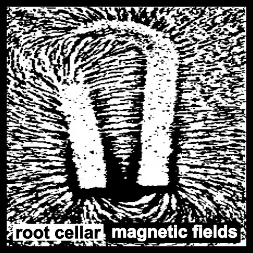 Magnetic Fields