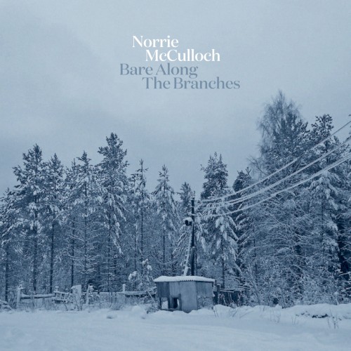 Bare Along the Branches