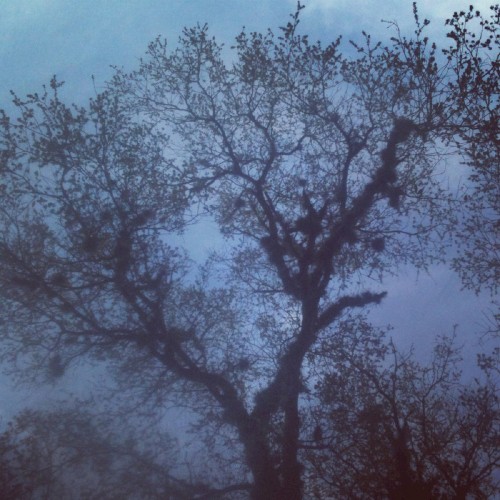 Hidden Insight / Hidden In Sight