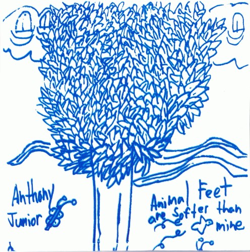 Animal Feet Are Softer Than Mine