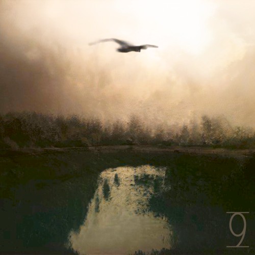 Musings 9