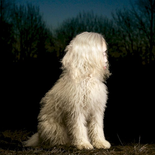 Doga