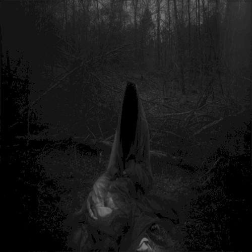 Solivagant Ghost of Cimmerian Woods