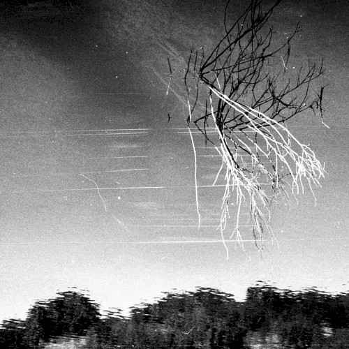 Field I