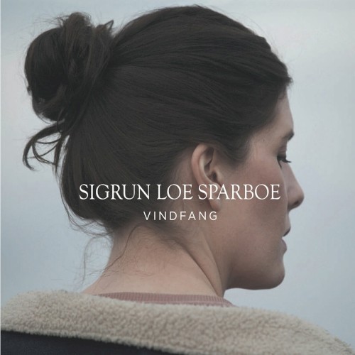 Vindfang