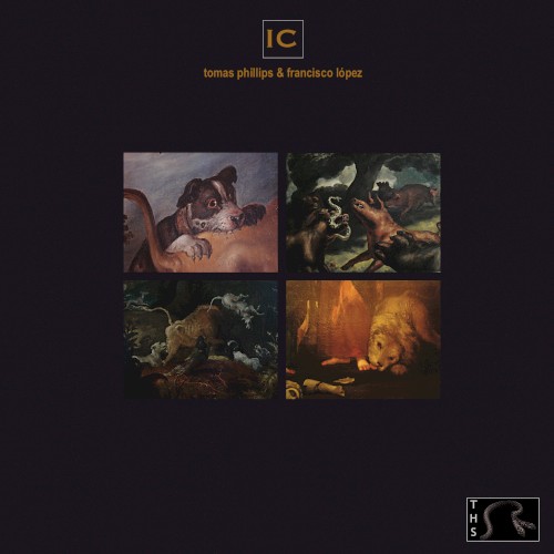 IC