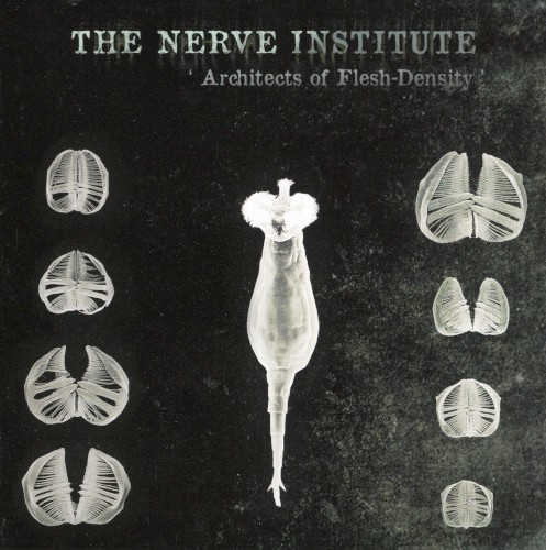 Architects of Flesh-Density
