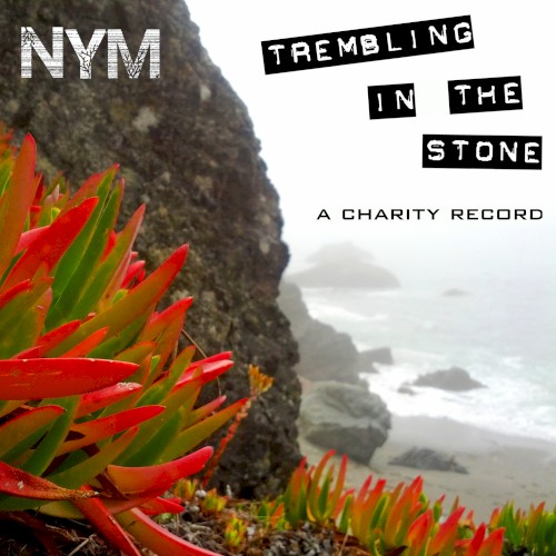 Trembling in the Stone: A Charity Record