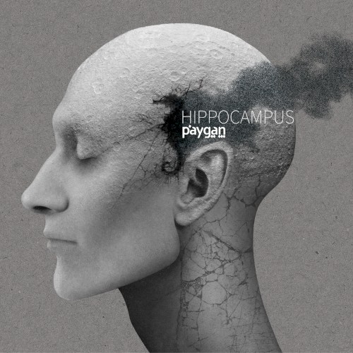 Hippocampus