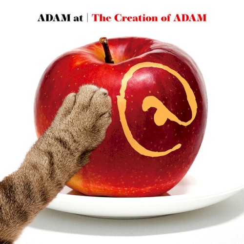 The Creation of ADAM