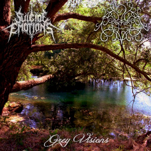Grey Visions