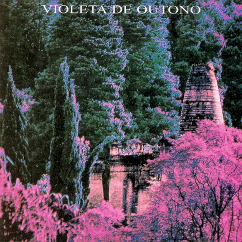Violeta de Outono