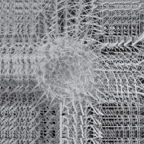 sunnk///Tusk Mite