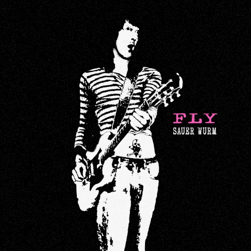 Fly