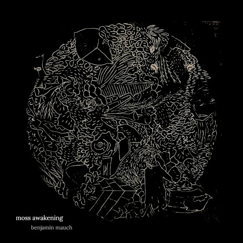 moss awakening