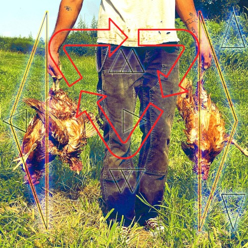 animal teacher