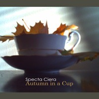 Autumn in a Cup