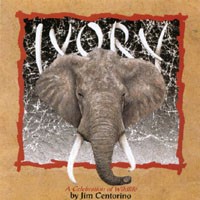 Ivory