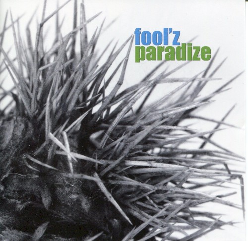 Fool'z Paradize