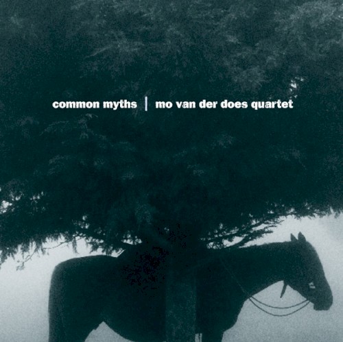Common Myths