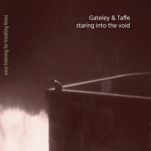 staring into the void