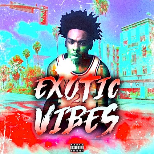 Exotic Vibes