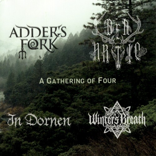 A Gathering of Four